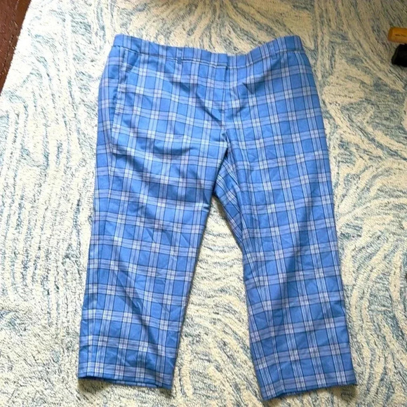 Wildfang blue plaid slim crop pants 20 NWOT - Picture 1 of 6